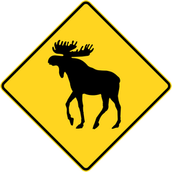 Advertencia por alces en la carretera.